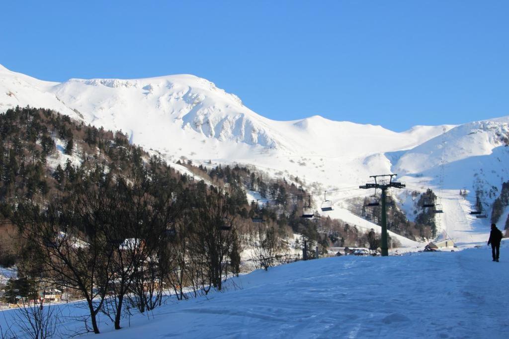 Résidence Le mont Dore 2 étoiles Exterior foto