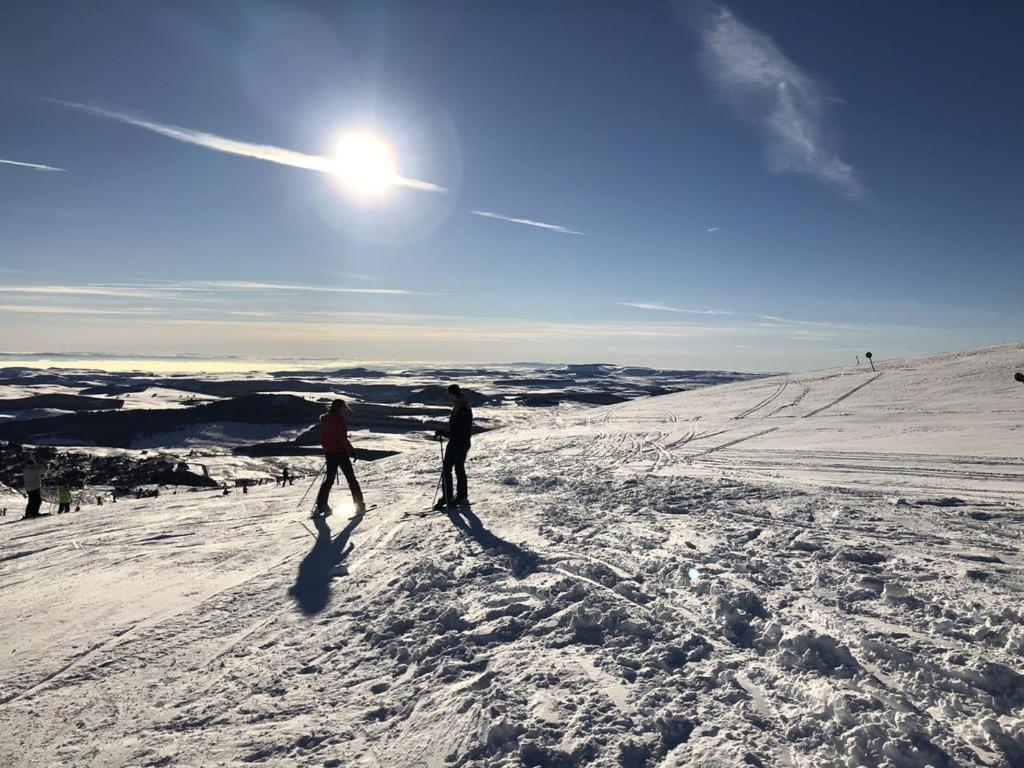 Résidence Le mont Dore 2 étoiles Exterior foto